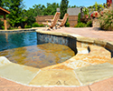 Freeform Swimming Pool with Cook Center | Little Rock