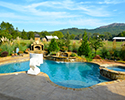 Freeform Custom Swimming Pool With Spa | Little Rock