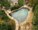 Natural Pool