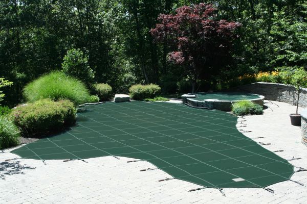 ruggedcleandarkgreen