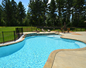 Custom Swimming Pool With Waterfall & Tanning Ledge