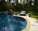 Freeform Swimming Pool With Spa & Tanning Ledge | Maumelle