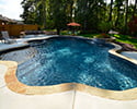 Freeform Swimming Pool With Spa & Tanning Ledge | Maumelle