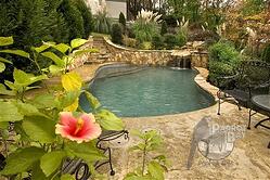 pool-picture-83-1