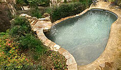 Custom natural pool