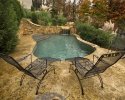 Natural Pool
