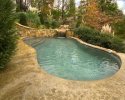 Natural Pool