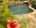 Pool Picture