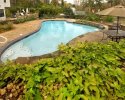 Custom In-ground Swimming Pool
